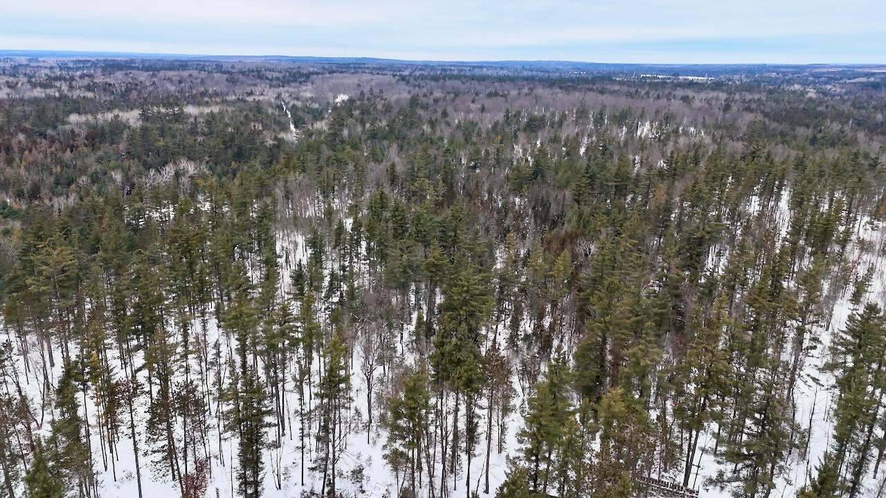 4440 Cherry Creek Road Lewiston, MI 49756 - Photo 3 of 58