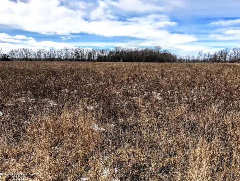 0 Carson Yale, MI 48097 - Photo 1 of 4