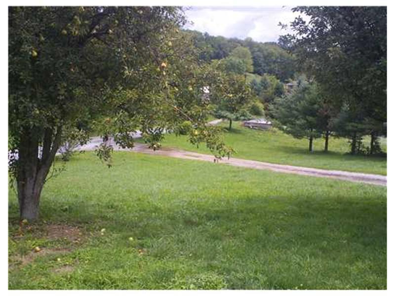 562 Shaffer Road Hookstown, PA 15050 - Photo 21 of 21 Land/Lot. The lot is large and private and has fruit trees
