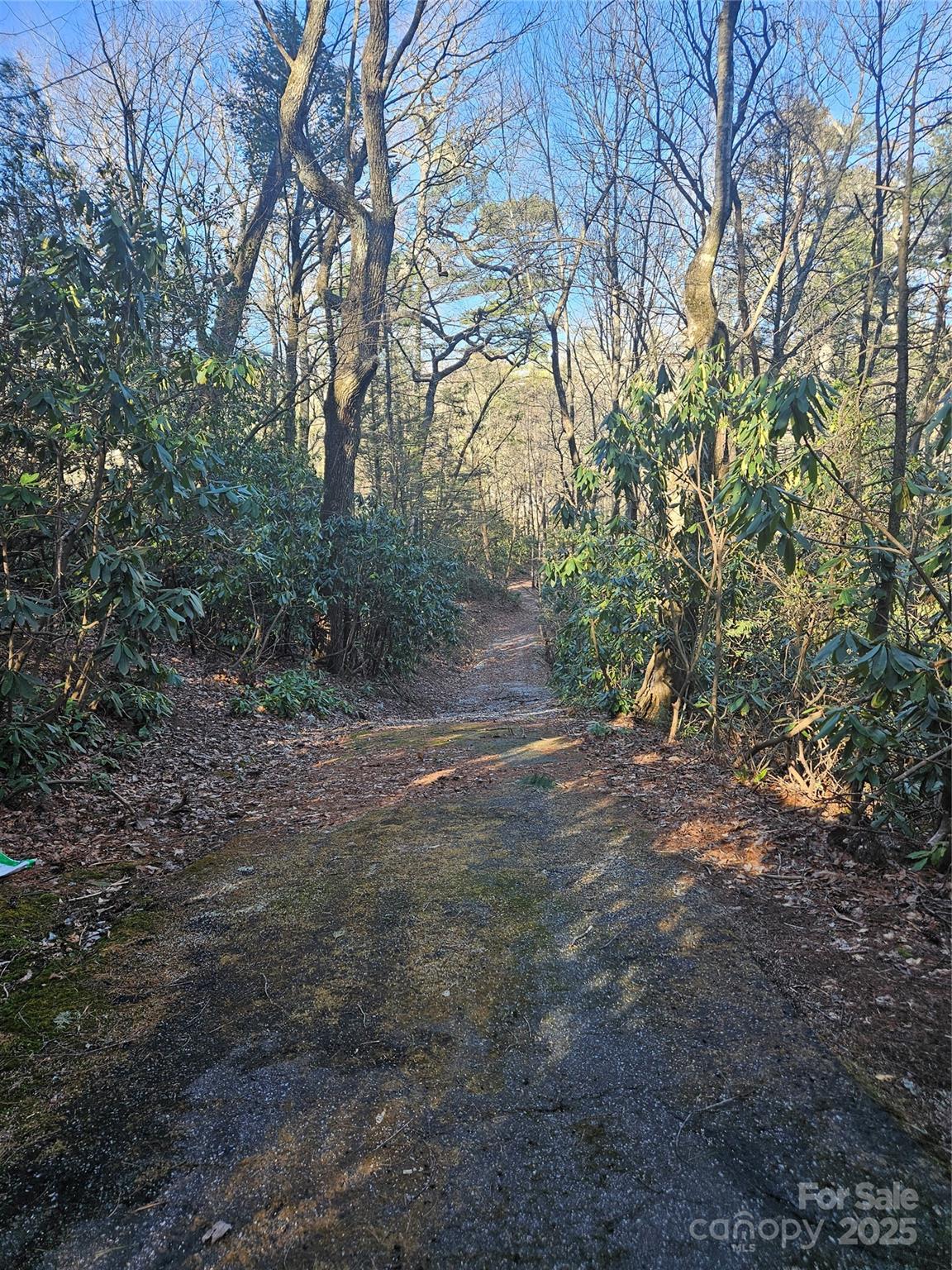 Lot 5 Ruffed Grouse Road Cashiers, NC 28717 - Photo 11 of 12 Gallery Image 11