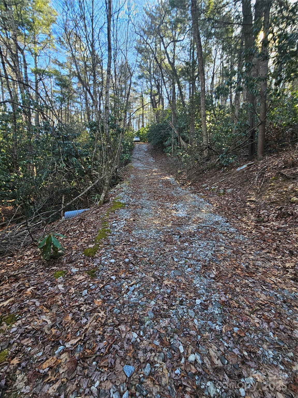 Lot 5 Ruffed Grouse Road Cashiers, NC 28717 - Photo 3 of 12 Gallery Image 3
