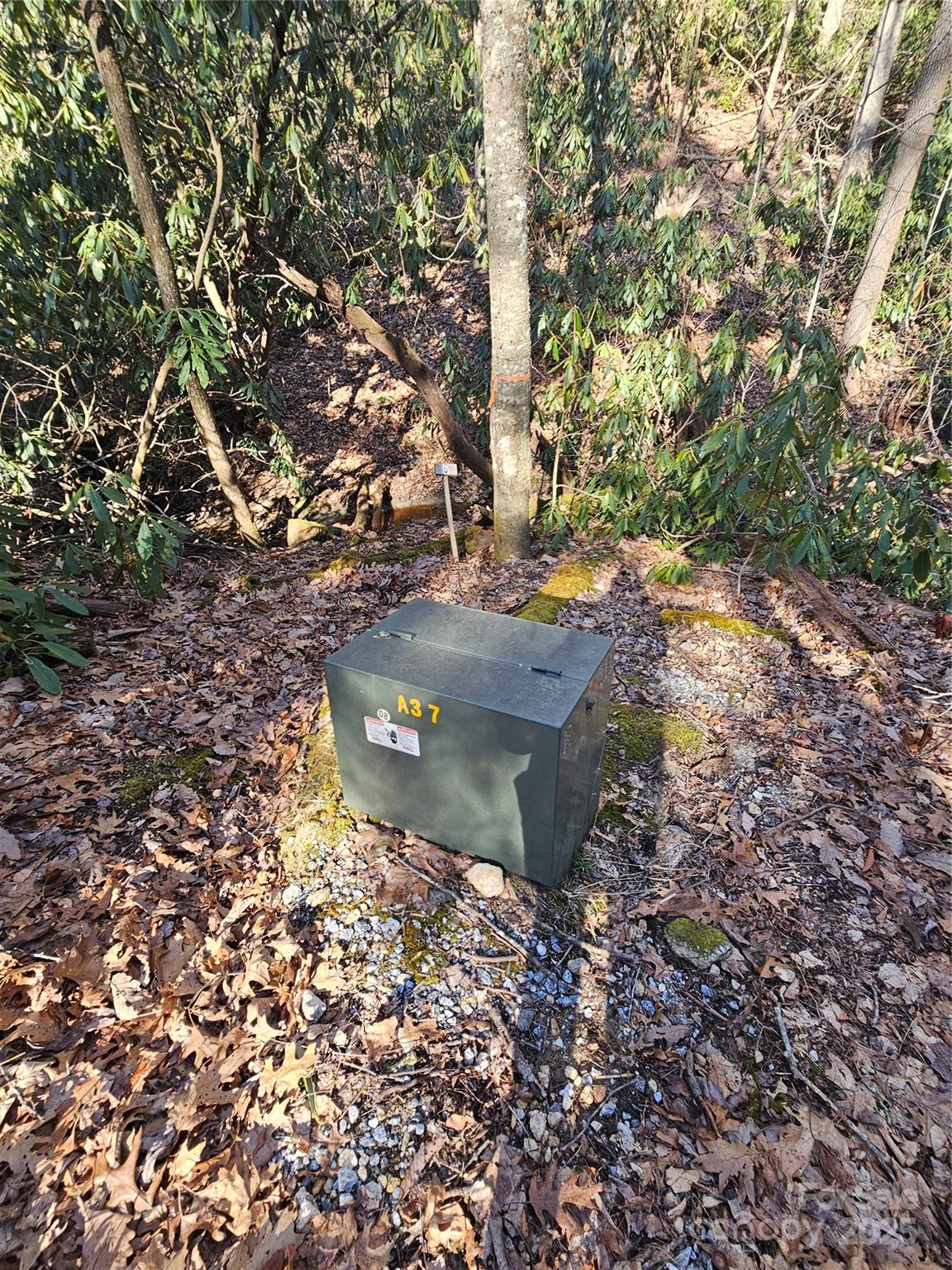 Lot 5 Ruffed Grouse Road Cashiers, NC 28717 - Photo 4 of 12 Gallery Image 4