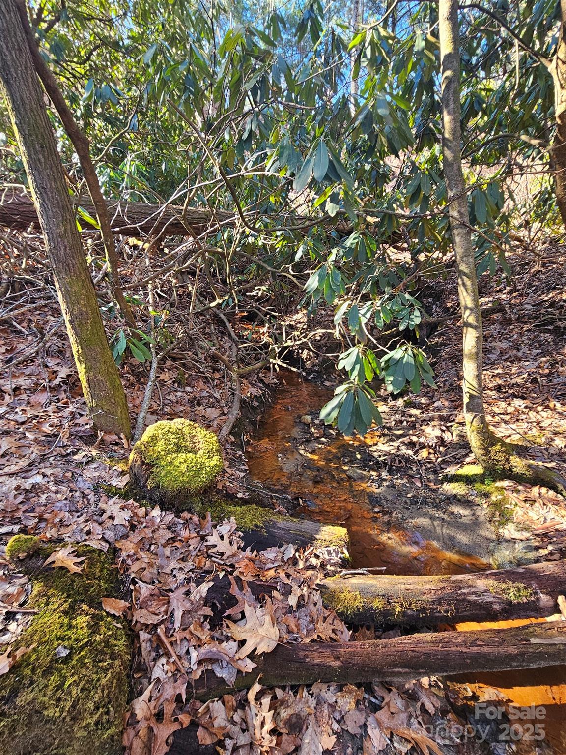 Lot 5 Ruffed Grouse Road Cashiers, NC 28717 - Photo 8 of 12 Gallery Image 8
