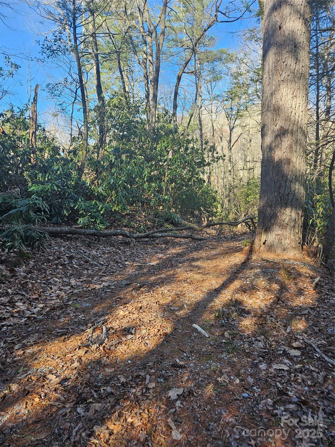 Lot 5 Ruffed Grouse Road Cashiers, NC 28717 - Photo 10 of 12 Gallery Image 10