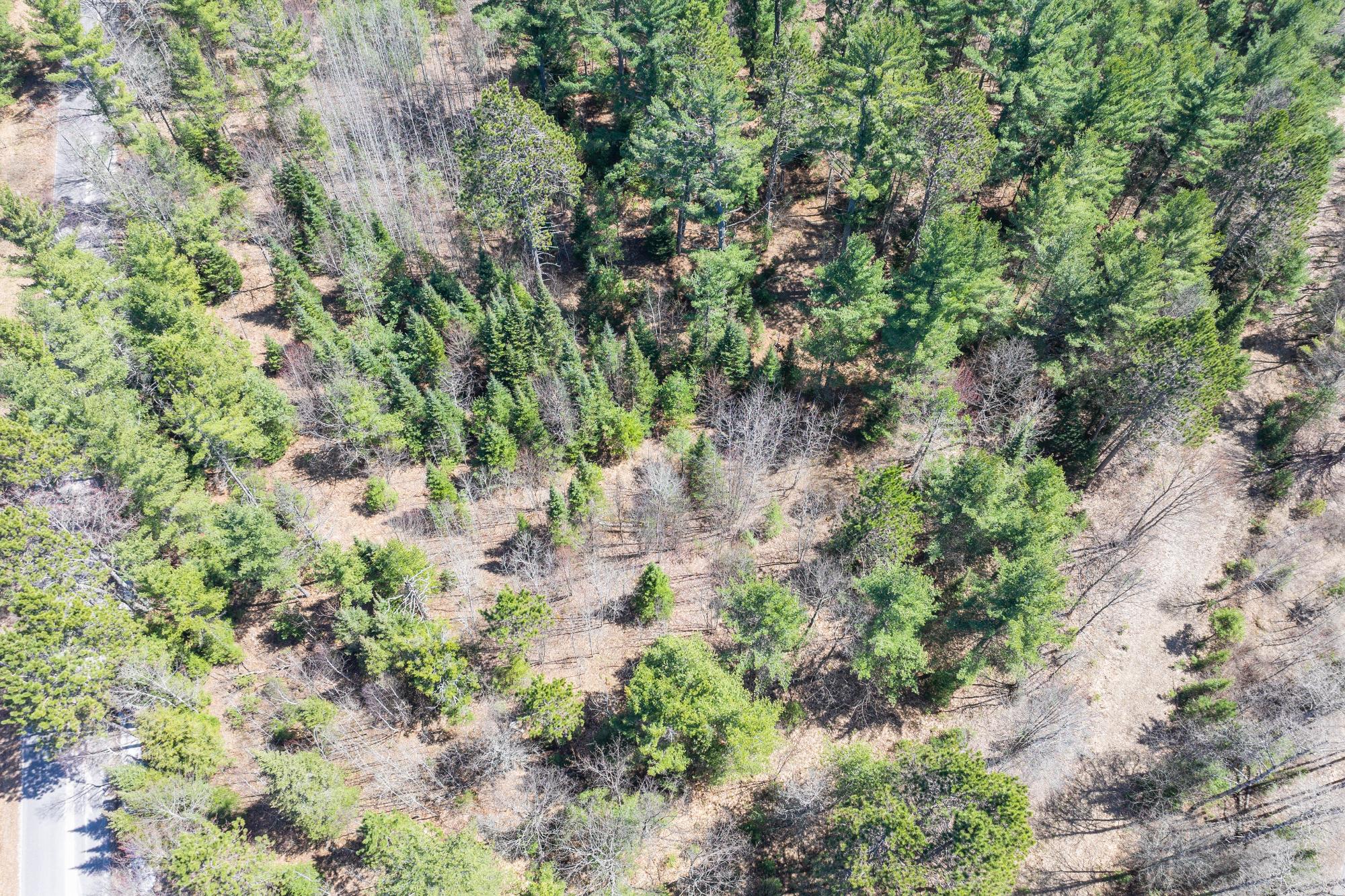 Lot 3 Bloom Road Eagle River, WI 54521 - Photo 12 of 15 Gallery Image 12