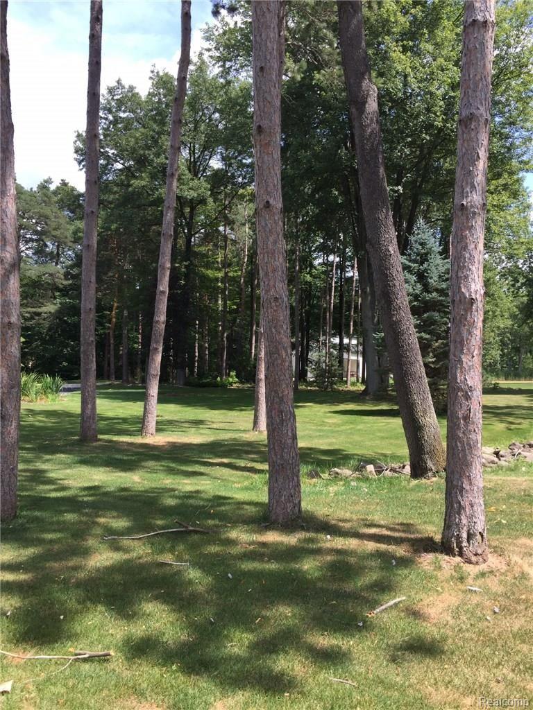 9940 Reese Road Clarkston, MI 48348 - Photo 21 of 21 Property View.JPG