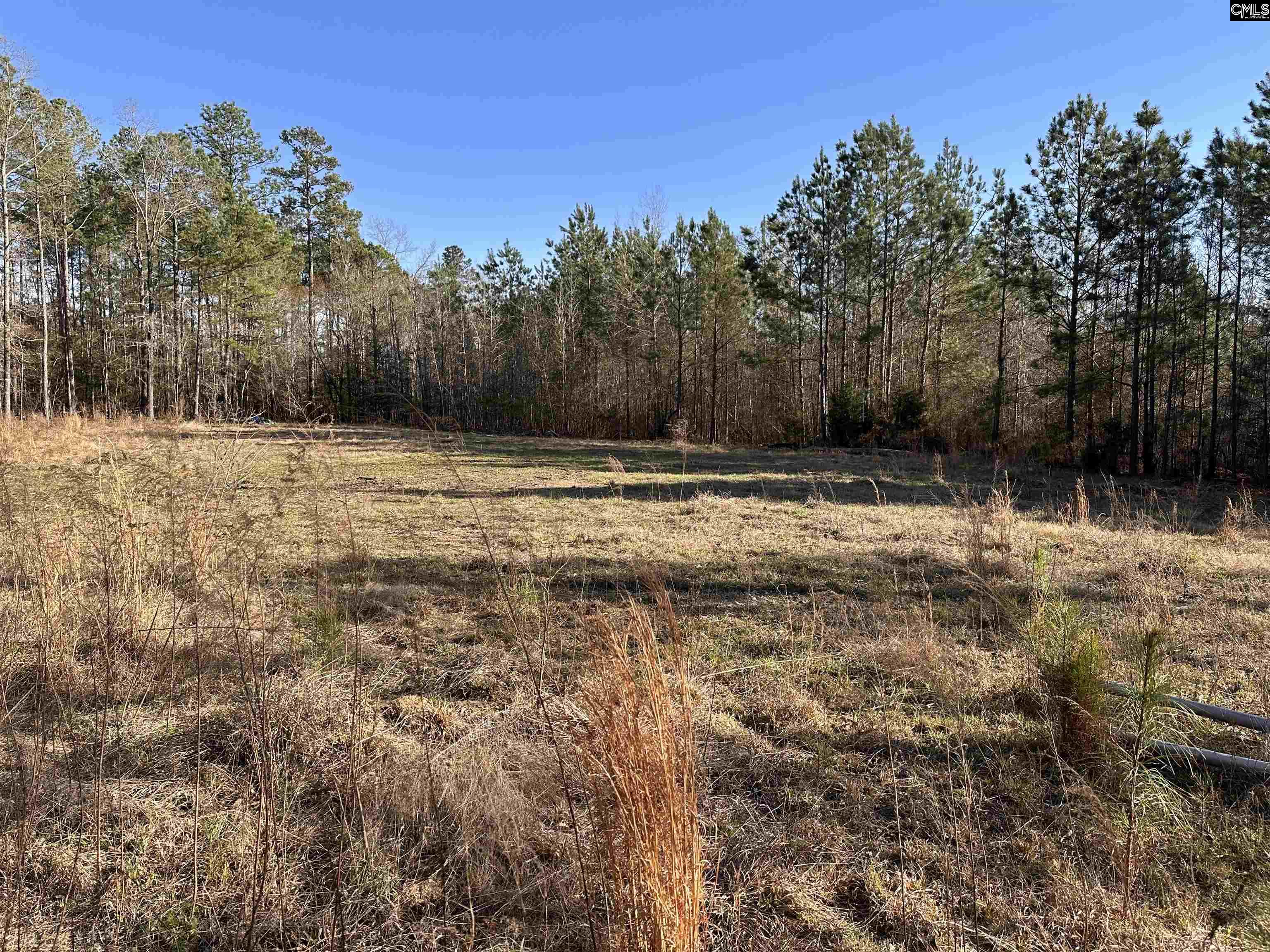 495 State Rd S-28-303 Ridgeway, SC 29130 - Photo 2 of 9