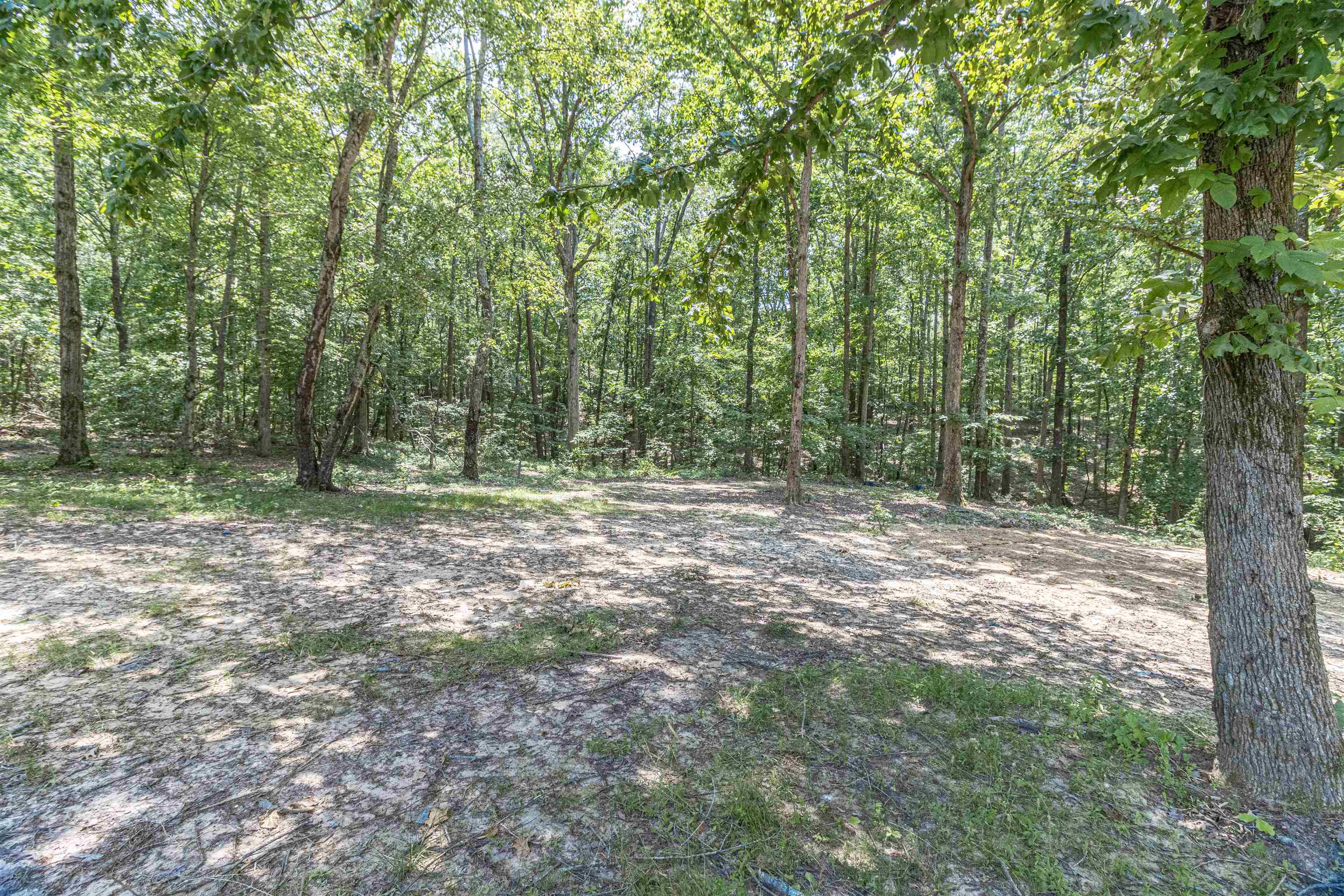 3532 Ramer Selmer Road Ramer, TN 38367 - Photo 4 of 15 a view of outdoor space and tree