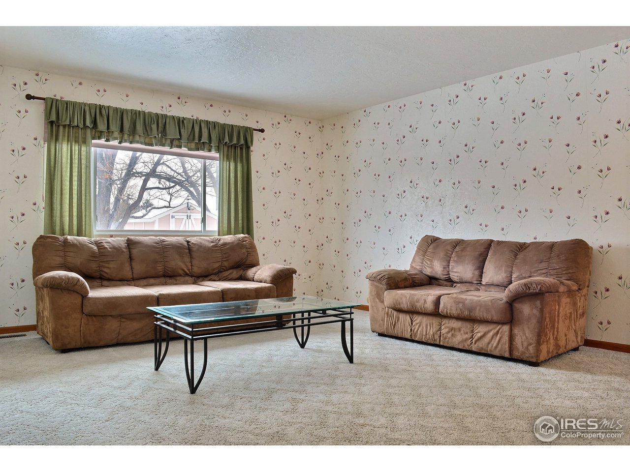 2804 25th Street Road Greeley, CO 80634 - Photo 2 of 25 Large Living Room with Picture Window