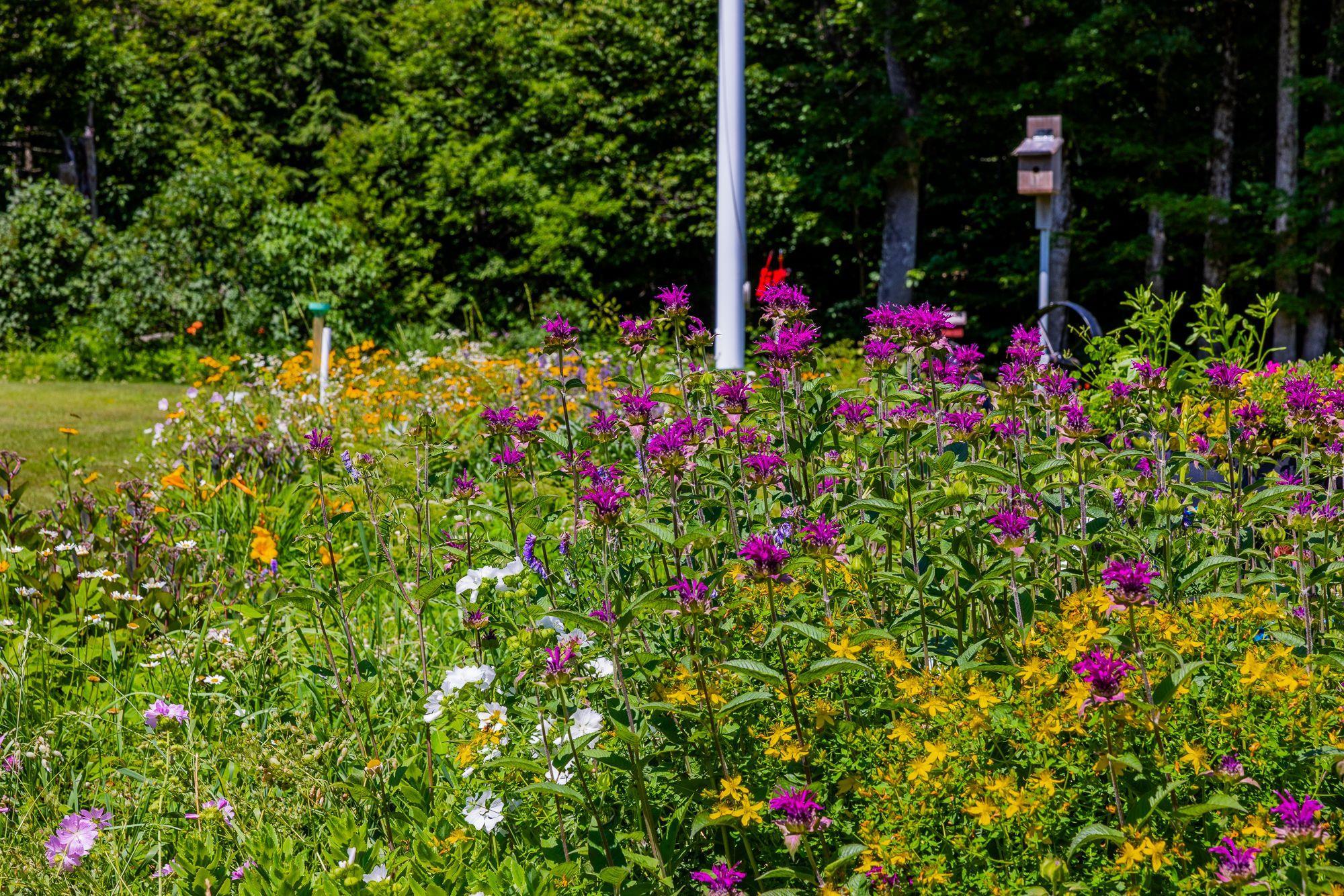 817 Topsham Road Newbury, VT 05051 - Photo 50 of 57