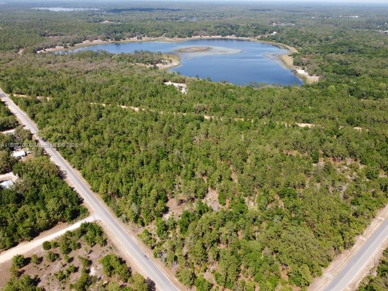 128 North Francis Interlachen, FL 32148 - Photo 5 of 7 an aerial view of residential houses with outdoor space and trees