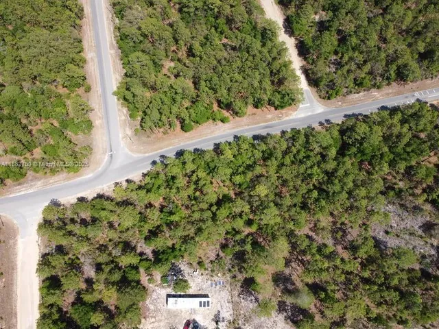 a view of a garden with a tree
