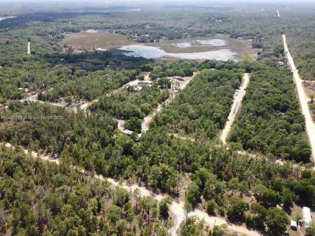 an aerial view of residential houses with outdoor space and trees