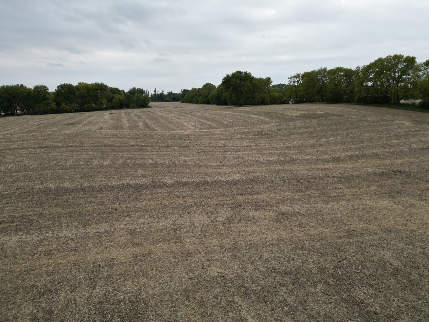 0 County Line Road Sheridan, IL 60551 - Photo 16 of 33