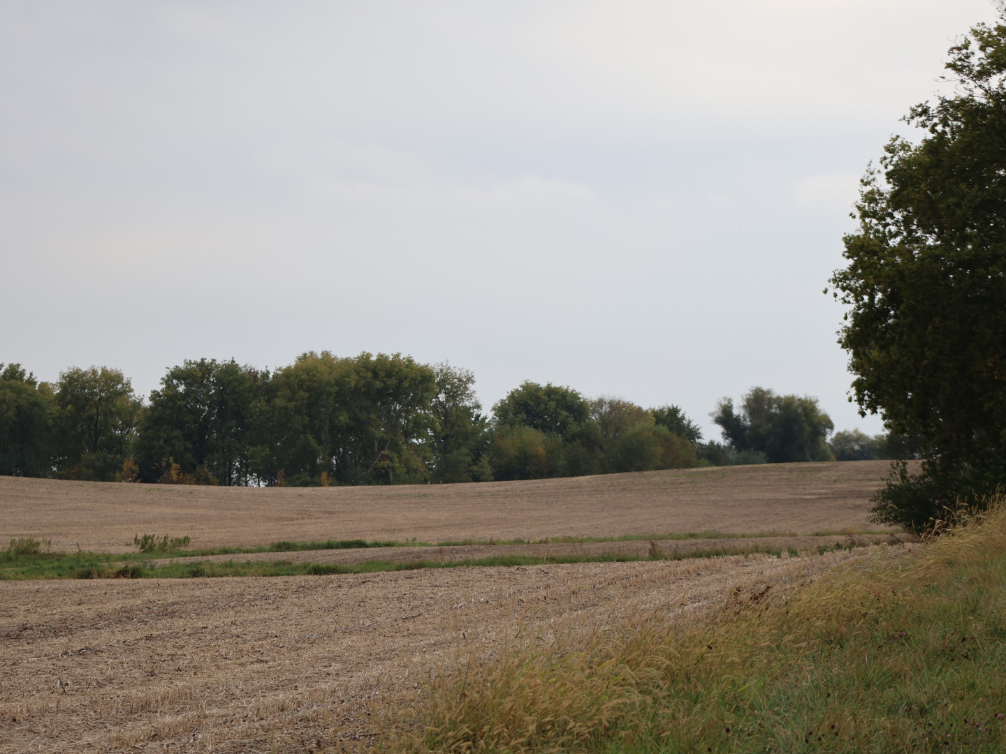 0 County Line Road Sheridan, IL 60551 - Photo 25 of 33
