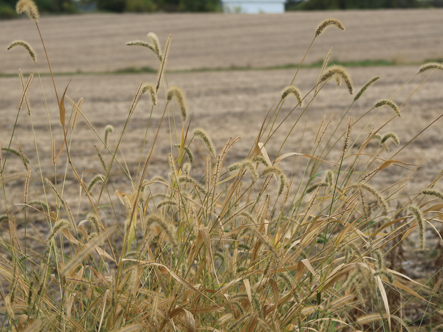 0 County Line Road Sheridan, IL 60551 - Photo 26 of 33