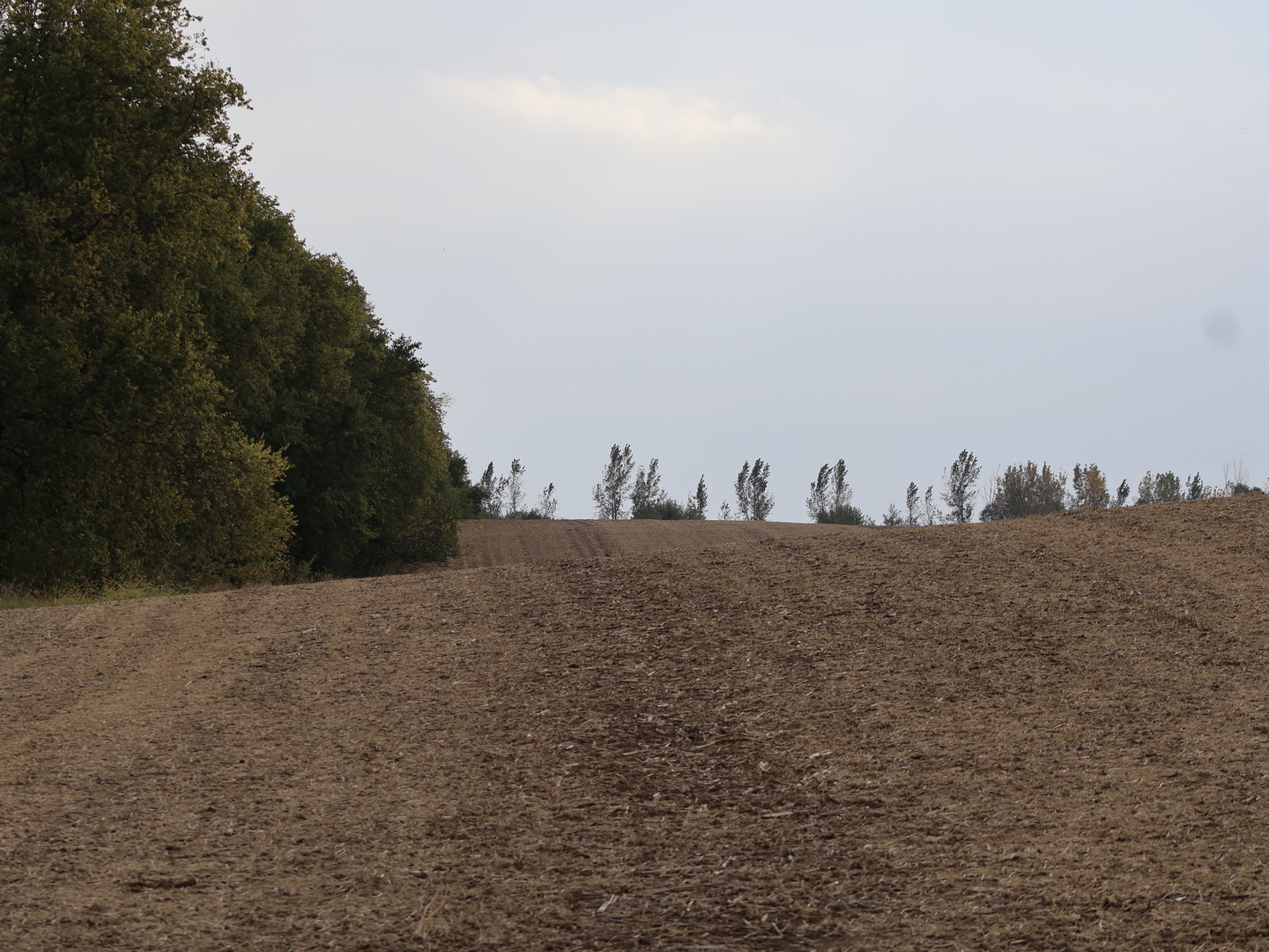 0 County Line Road Sheridan, IL 60551 - Photo 27 of 33