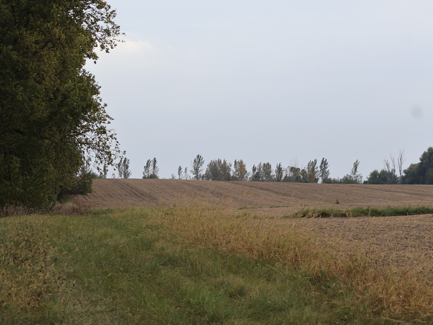 0 County Line Road Sheridan, IL 60551 - Photo 28 of 33