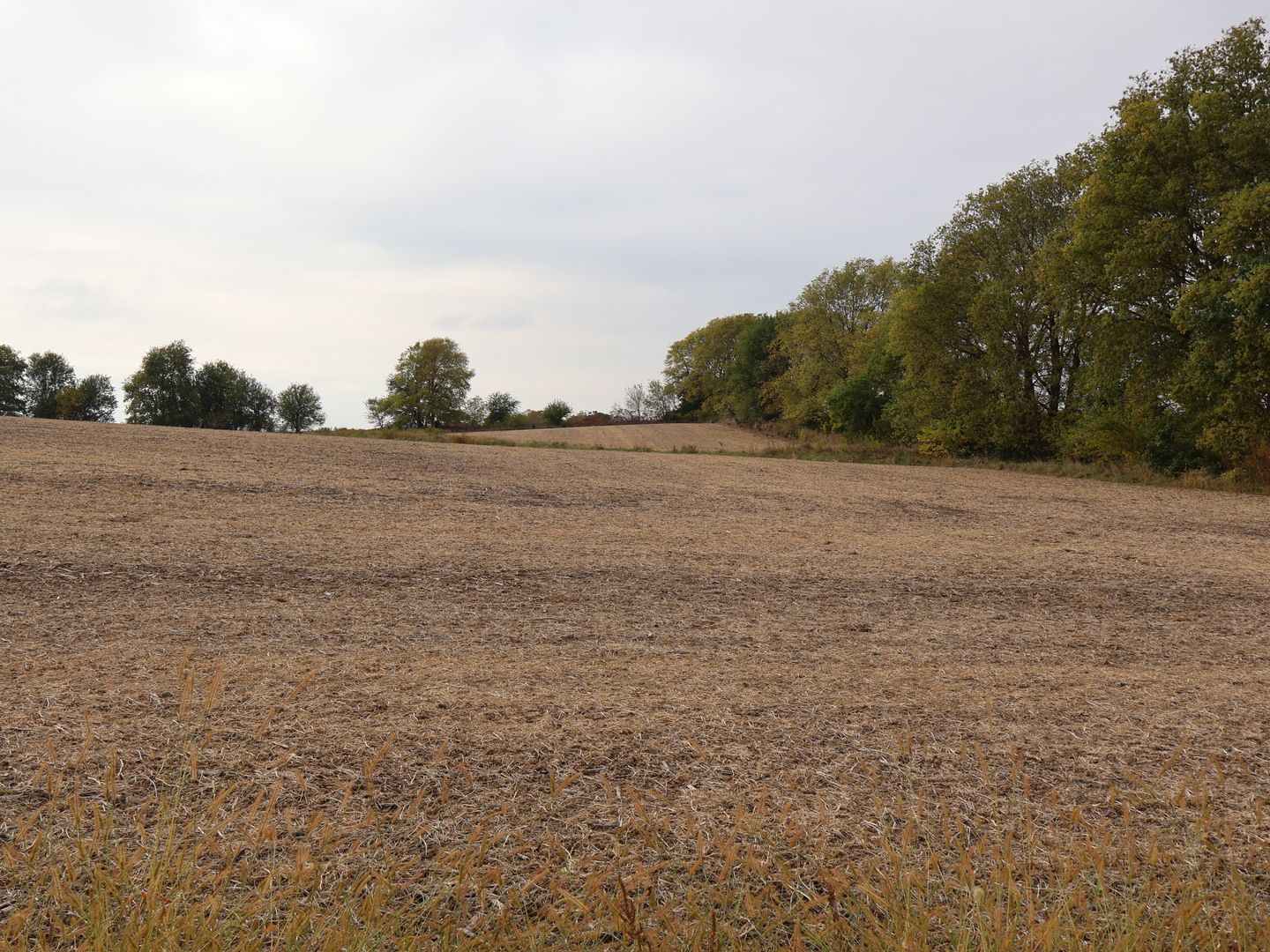 0 County Line Road Sheridan, IL 60551 - Photo 30 of 33