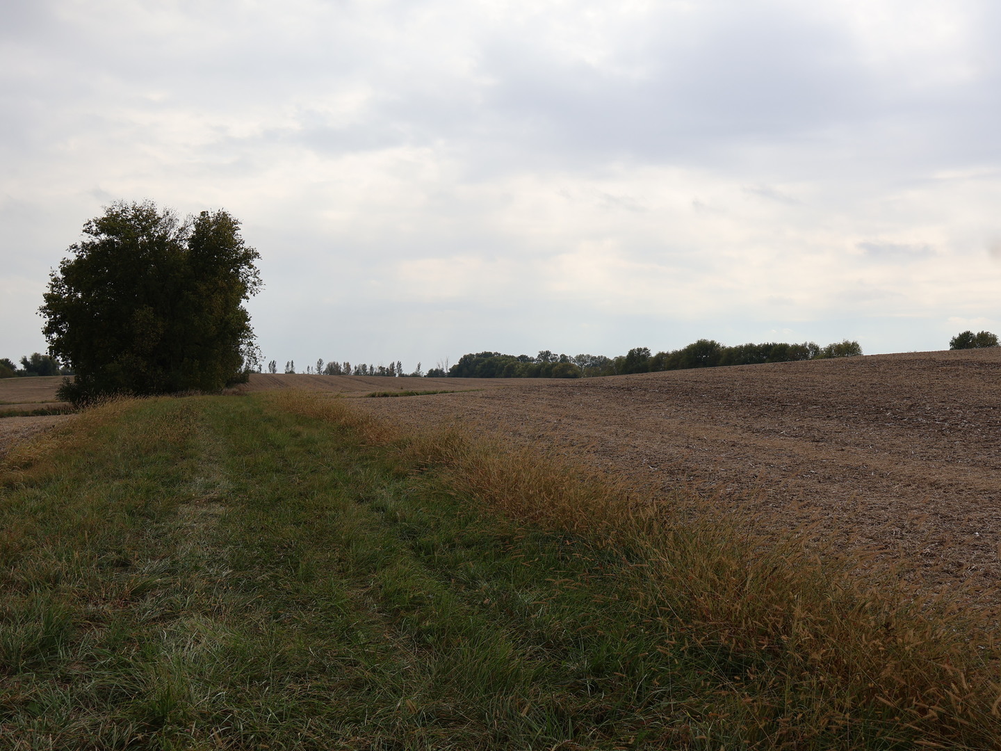 0 County Line Road Sheridan, IL 60551 - Photo 31 of 33