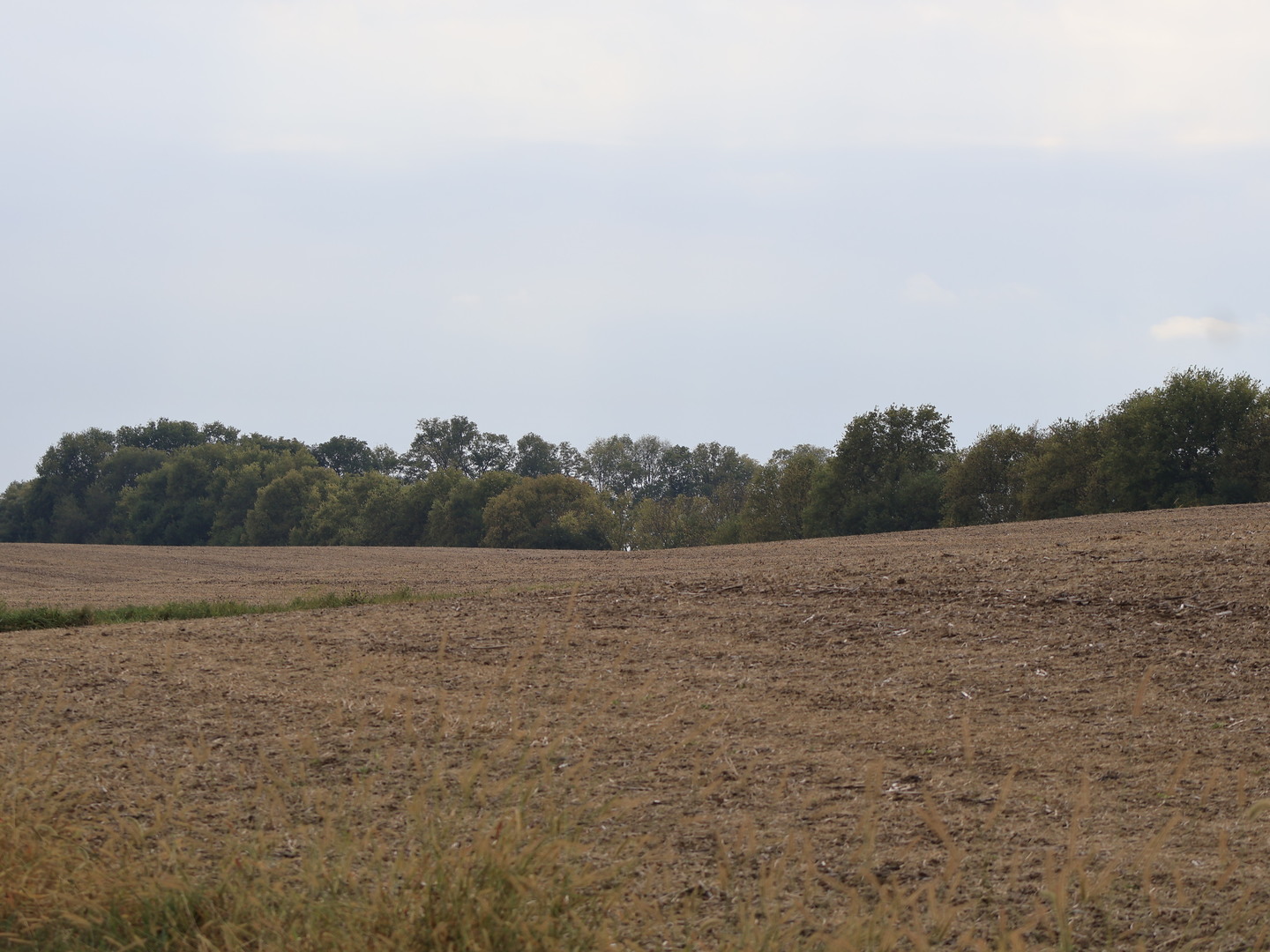 0 County Line Road Sheridan, IL 60551 - Photo 32 of 33