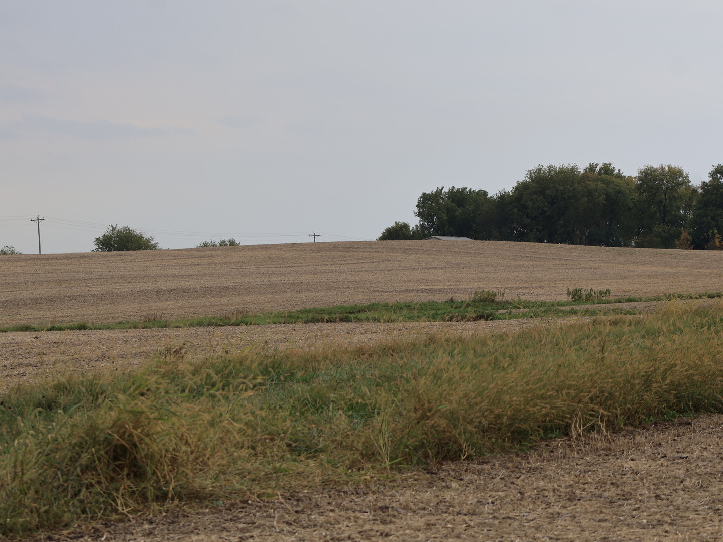 0 County Line Road Sheridan, IL 60551 - Photo 33 of 33