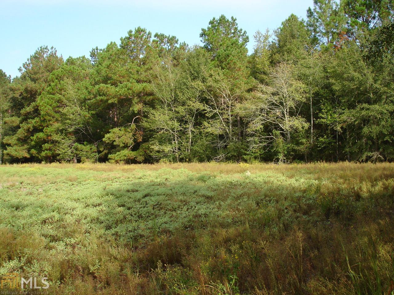 0 Hood Road Statesboro, GA 30458 - Photo 1 of 1 Gallery Image 1