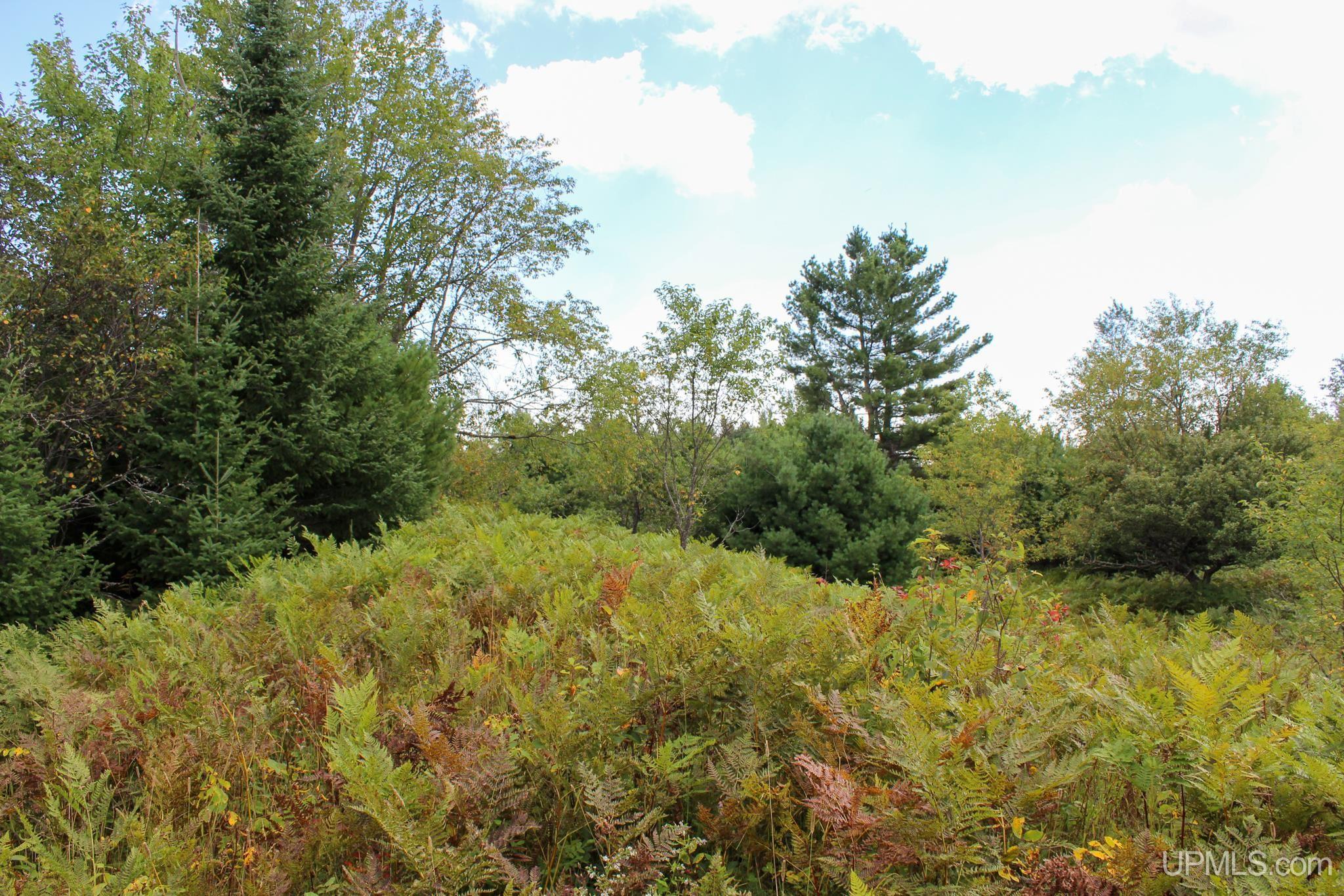 Tbd Michaelson Road Pelkie, MI 49958 - Photo 64 of 73 Gallery Image 64
