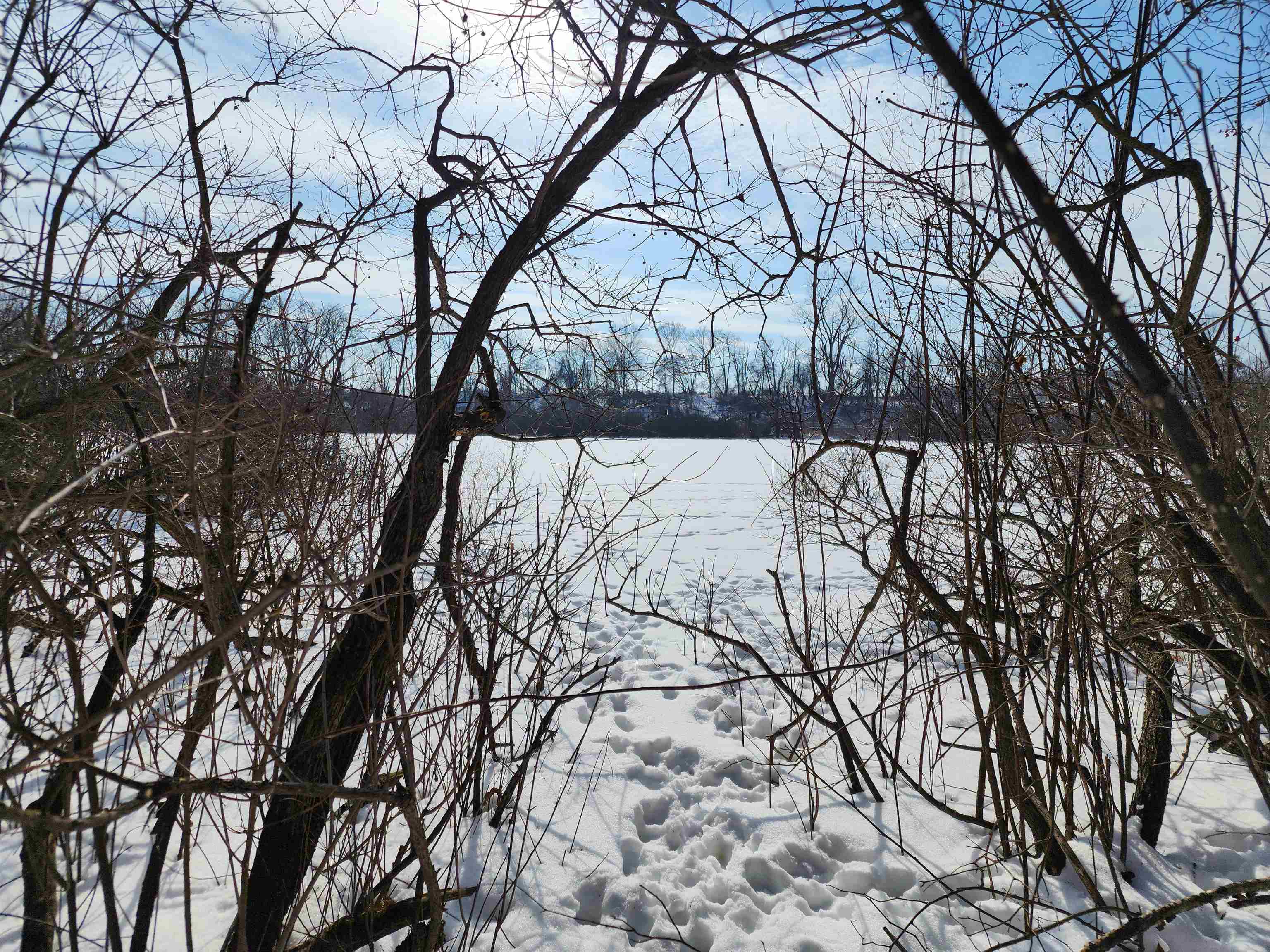 33-acres South Peoples Road Fenwick, MI 48834 - Photo 16 of 20