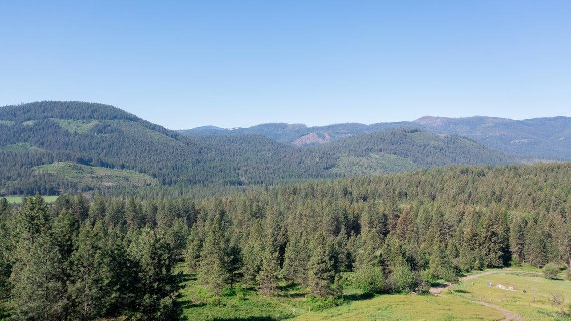 360 Barnaby Creek Road Inchelium, WA 99138 - Photo 17 of 31 Gallery Image 17