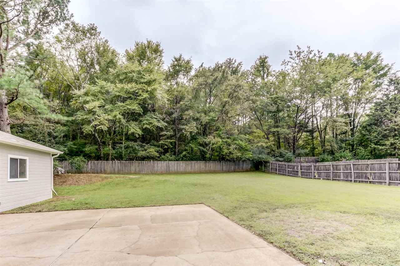 445 Dove Valley Road Collierville, TN 38017 - Photo 23 of 24 a view of a swimming pool with a yard and large trees