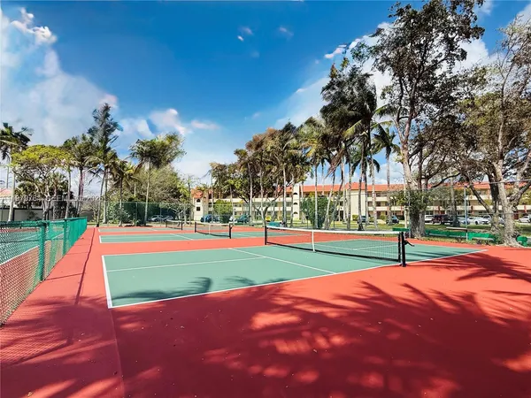 a park with lots of trees and plants