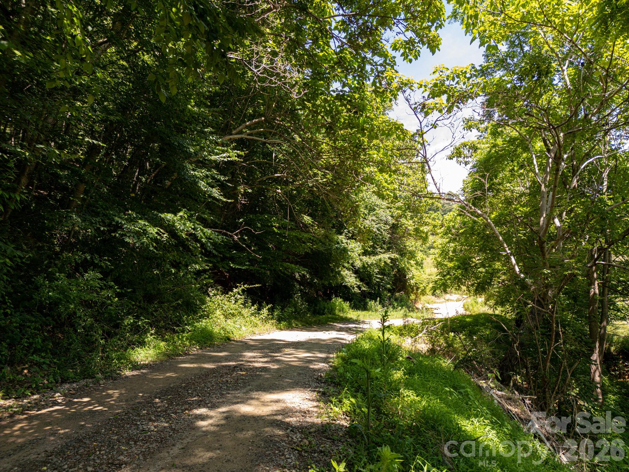999 Murphy Cove Road Candler, NC 28715 - Photo 46 of 48