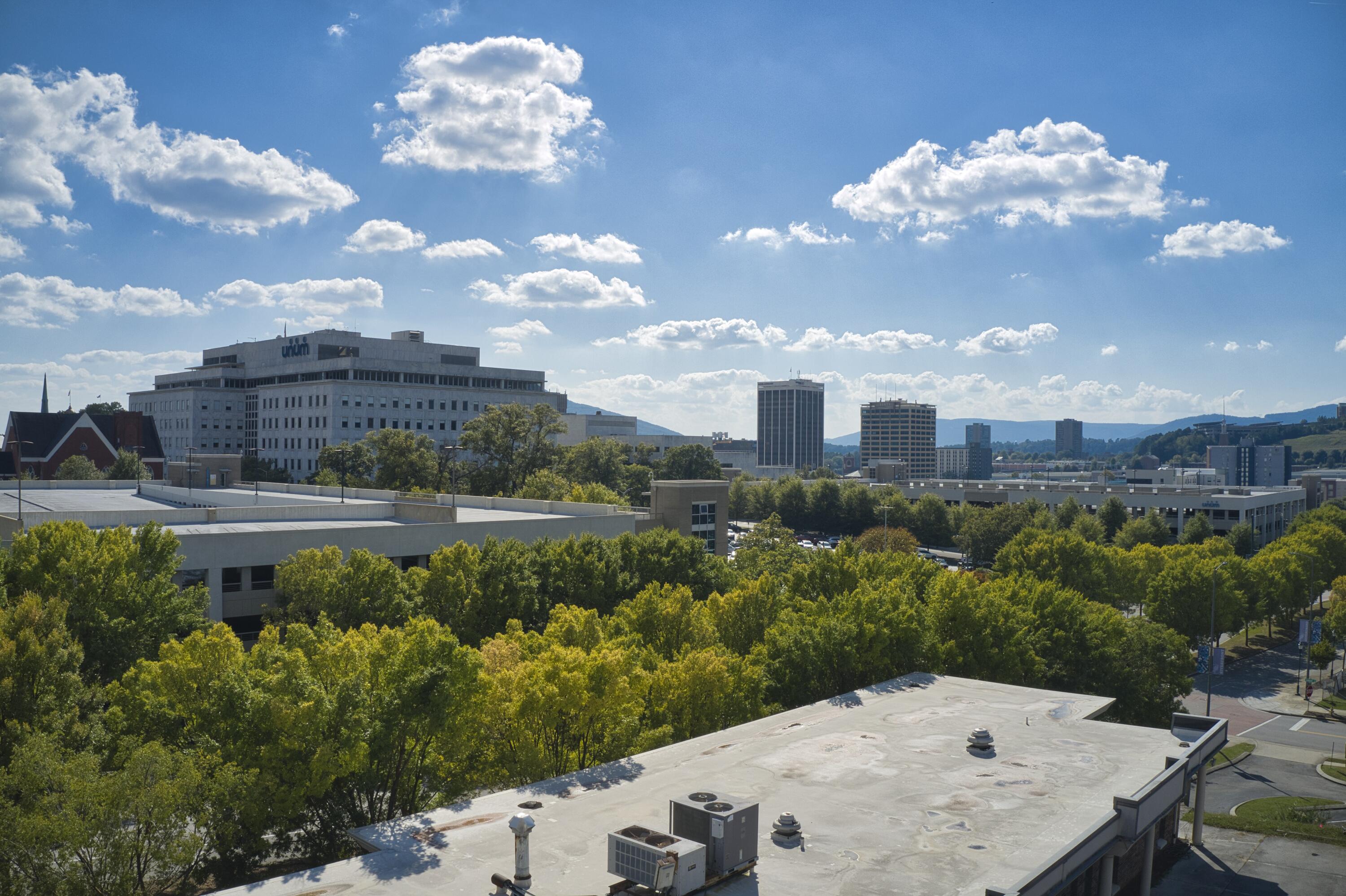 357 East 4th Street Chattanooga, TN 37403 - Photo 5 of 20 Your Rooftop View