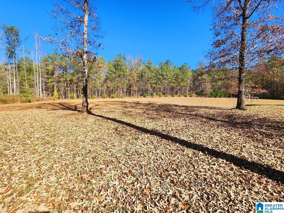 1647 Slaughter Mill Road Ashland, AL 36251 - Photo 6 of 33