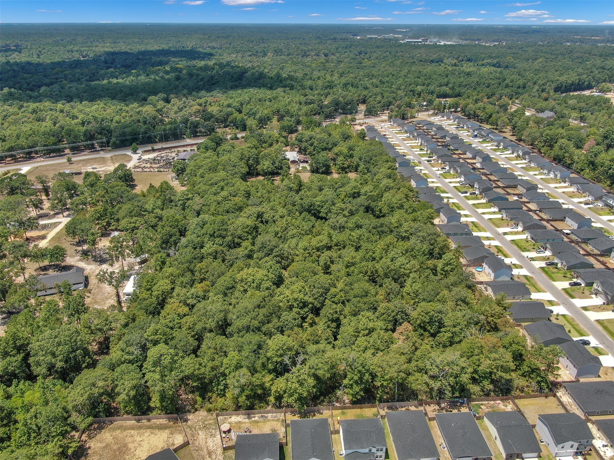 10173 Crockett Martin Road Conroe, TX 77306 - Photo 14 of 20 a view of a city with lush green forest