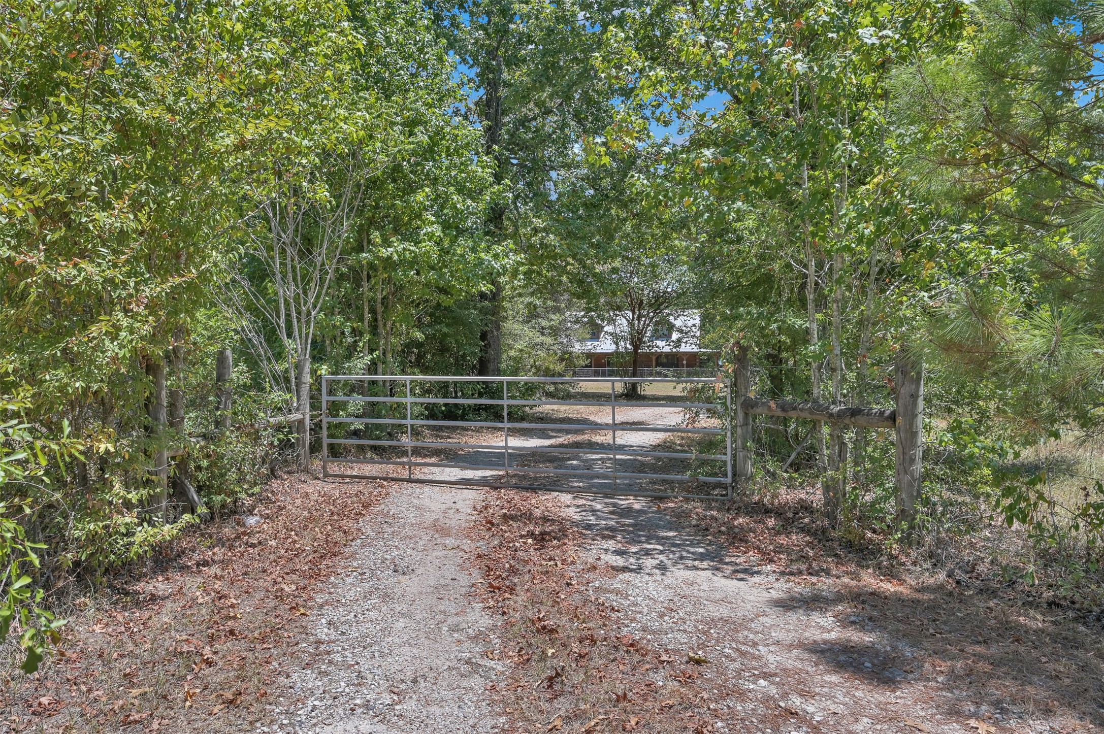10173 Crockett Martin Road Conroe, TX 77306 - Photo 7 of 20 a view of a yard with large trees