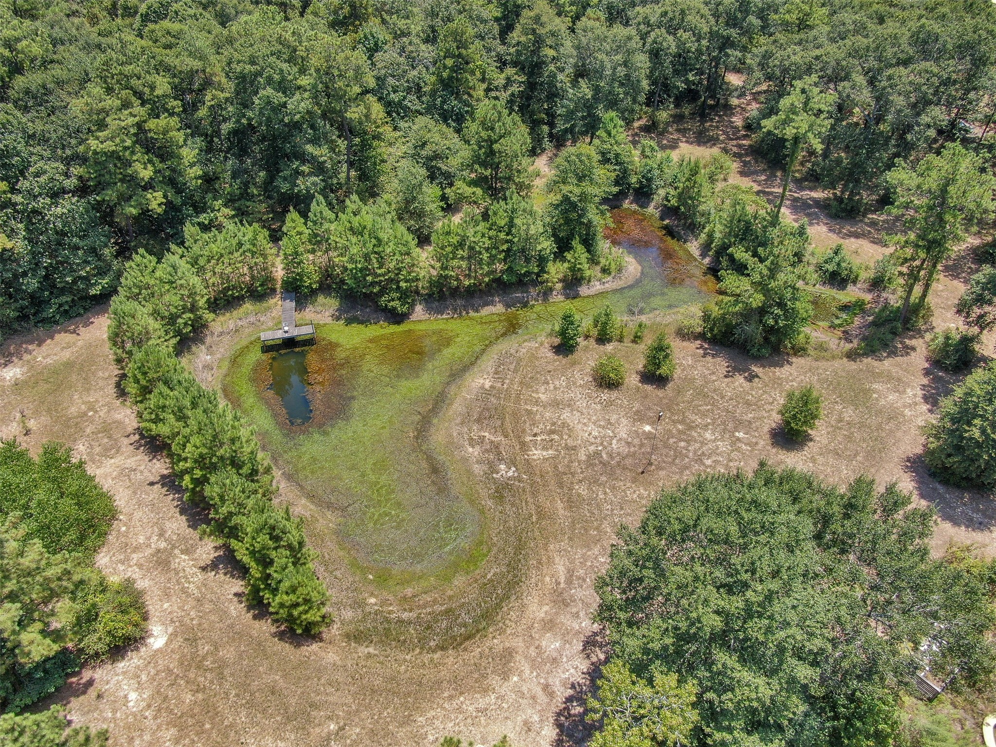 10173 Crockett Martin Road Conroe, TX 77306 - Photo 9 of 20 an aerial view of a house with a yard and lake view