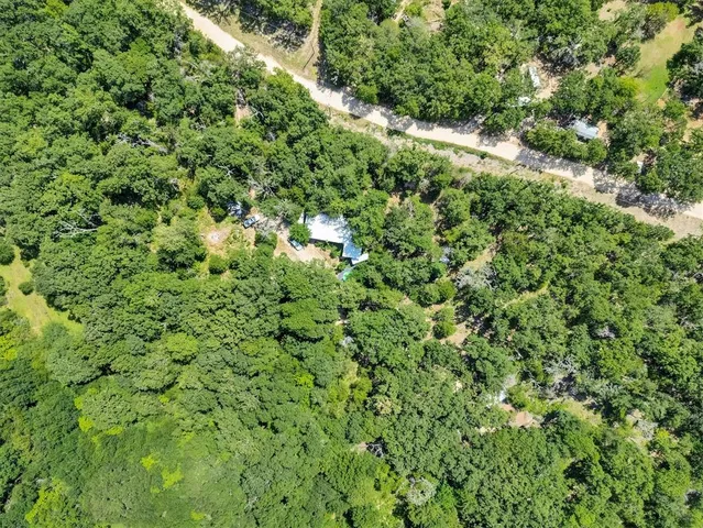 a view of a bunch of trees and bushes