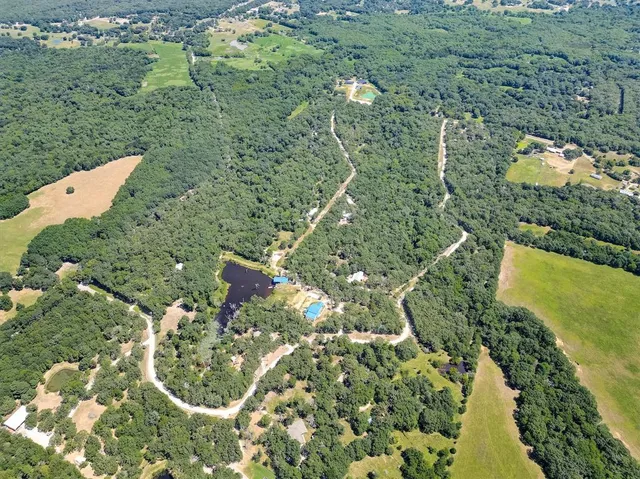 a view of a yard with plants