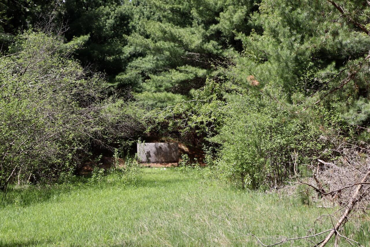 5826 South Morrison Road Alger, MI 48610 - Photo 77 of 86 066