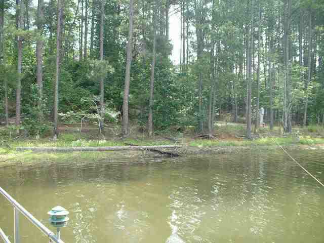 1 Stonebridge Loop McCormick, SC 29835 - Photo 1 of 1