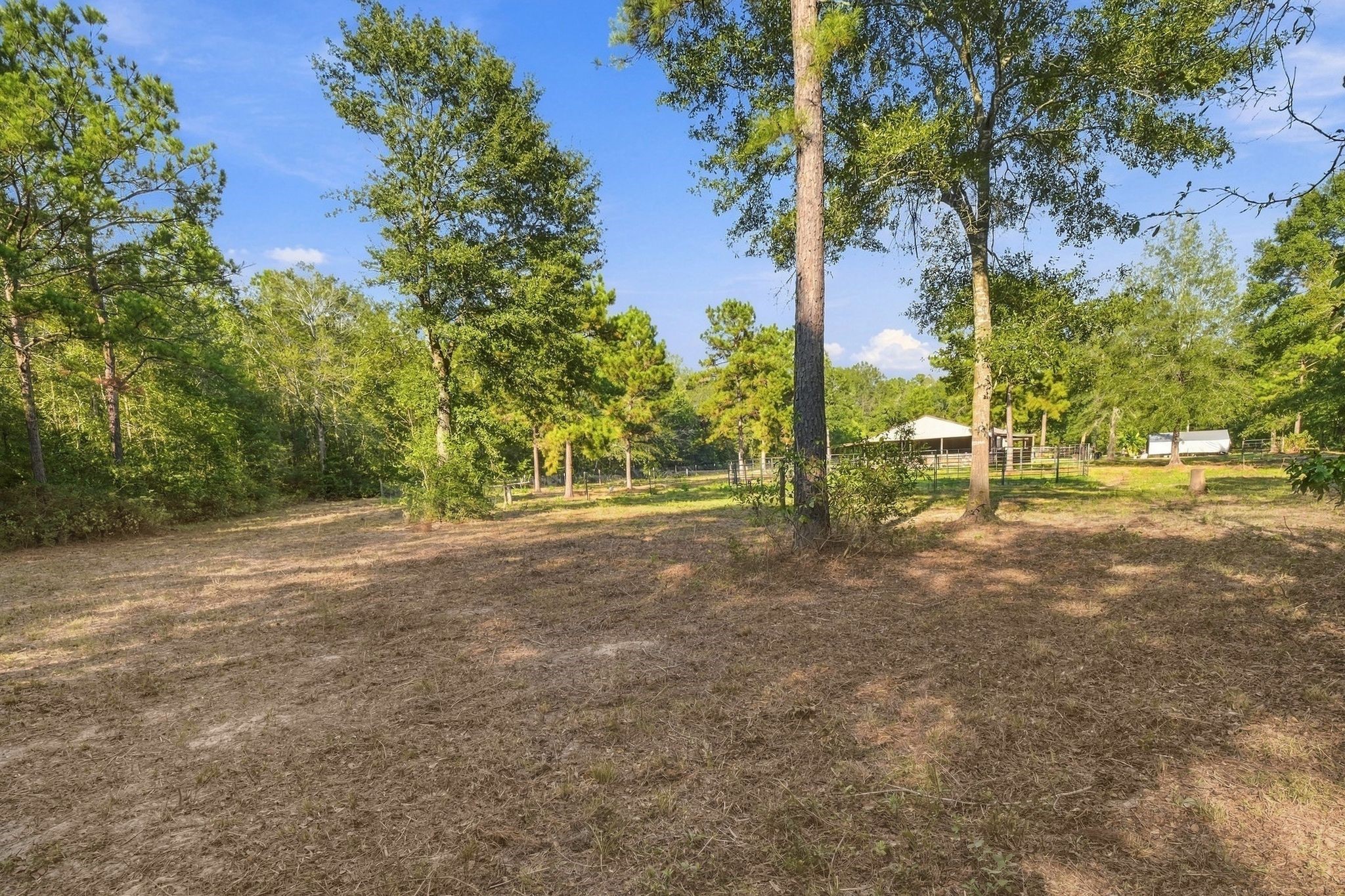 7049 Pine Shadows Road Cleveland, TX 77328 - Photo 43 of 49 Expansive wooded lot with mature trees, offering ample space and privacy, perfect for outdoor activities or future development.