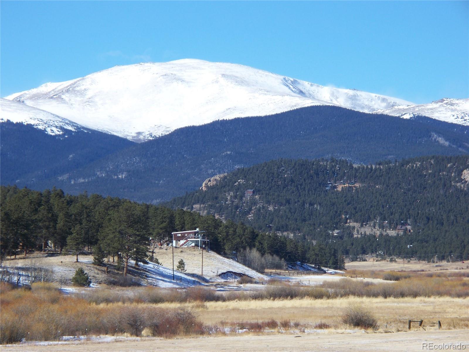694 Gross Road Bailey, CO 80421 - Photo 11 of 24 a view of a house with a yard