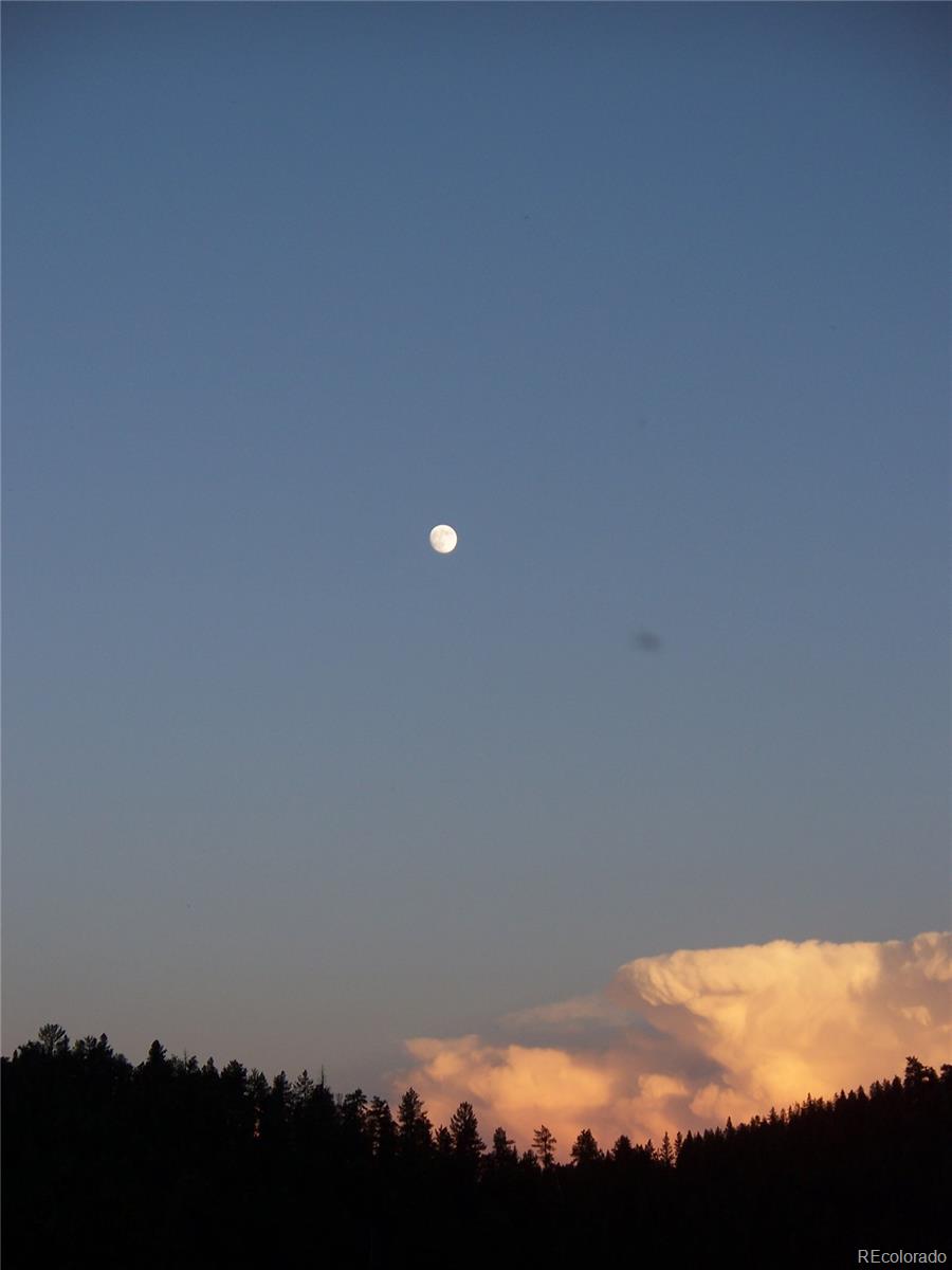 694 Gross Road Bailey, CO 80421 - Photo 16 of 24 a view of an ocean