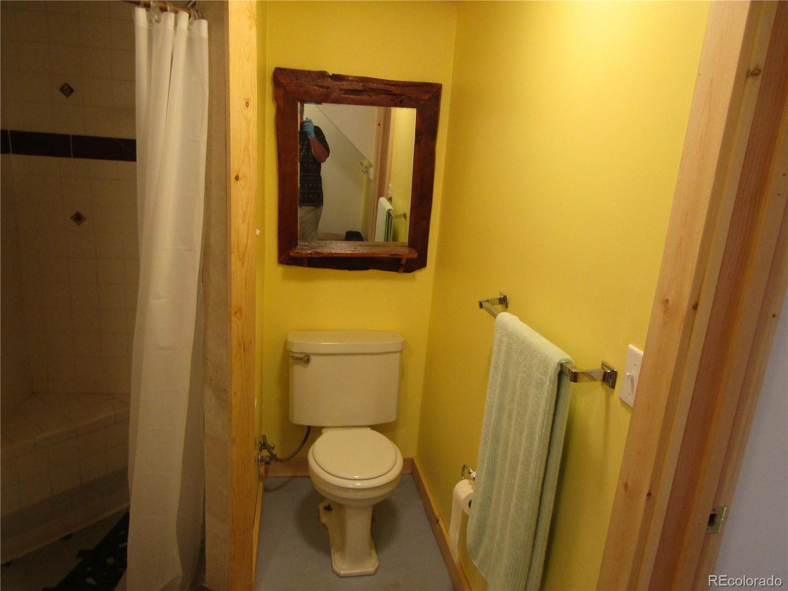 694 Gross Road Bailey, CO 80421 - Photo 22 of 24 a bathroom with a toilet and a sink