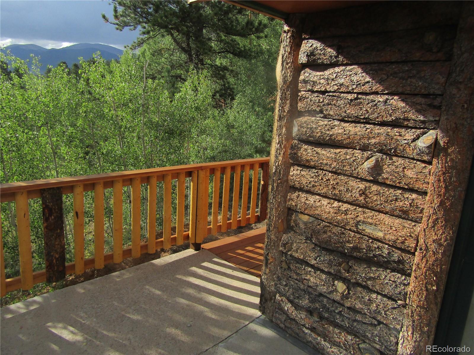 694 Gross Road Bailey, CO 80421 - Photo 3 of 24