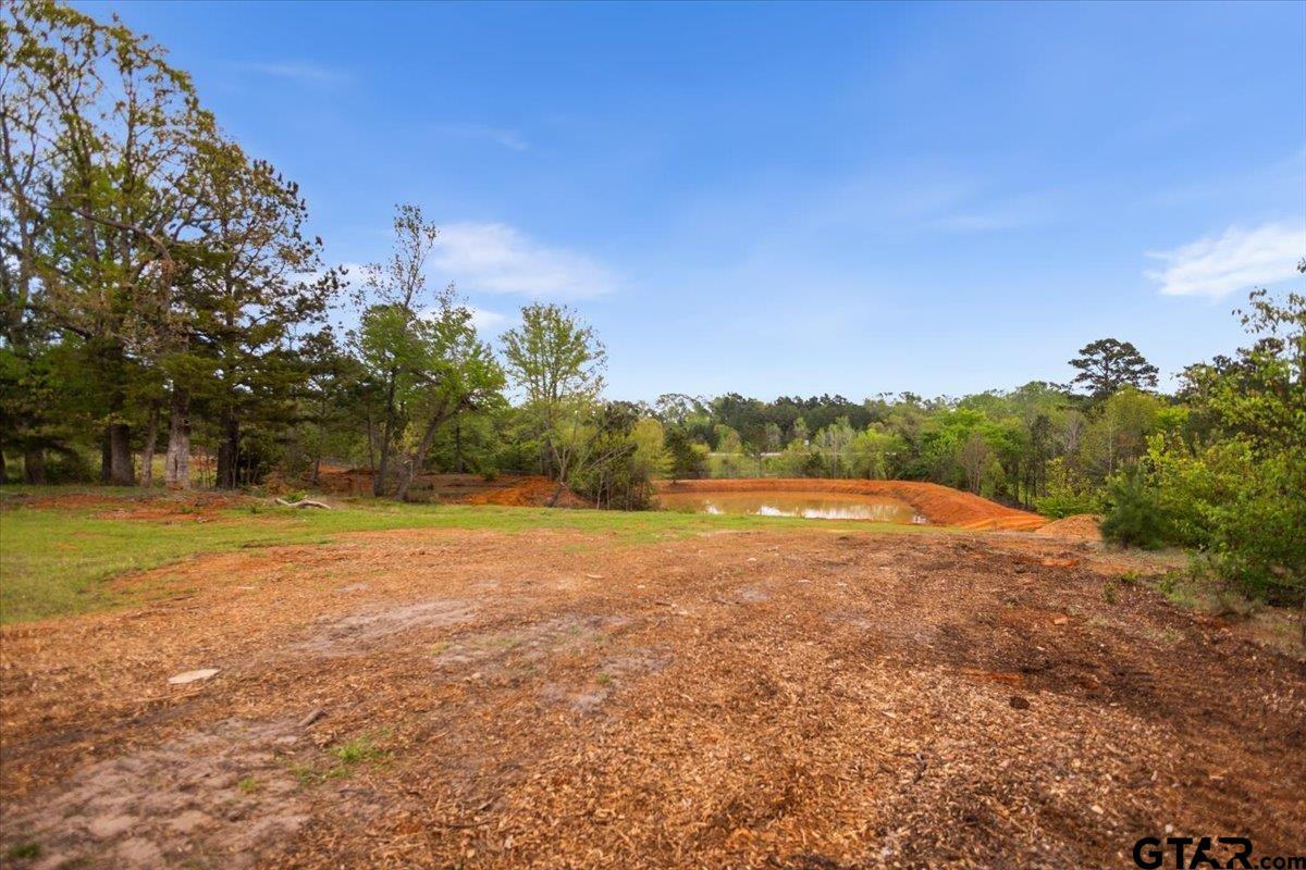 4123 County Road 1120 Tyler, TX 75704 - Photo 40 of 43 a view of a yard with an trees