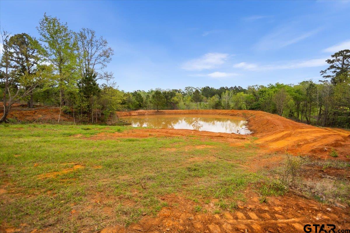4123 County Road 1120 Tyler, TX 75704 - Photo 41 of 43 a view of an ocean from a yard