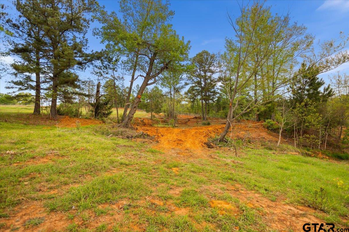 4123 County Road 1120 Tyler, TX 75704 - Photo 42 of 43 a view of yard with swimming pool